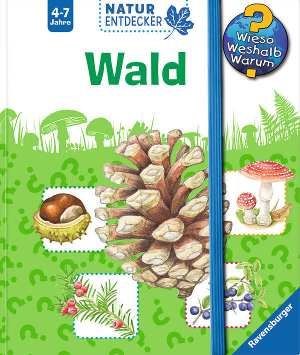 Wald