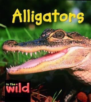 Alligators