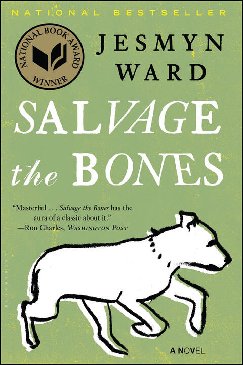 Salvage The Bones