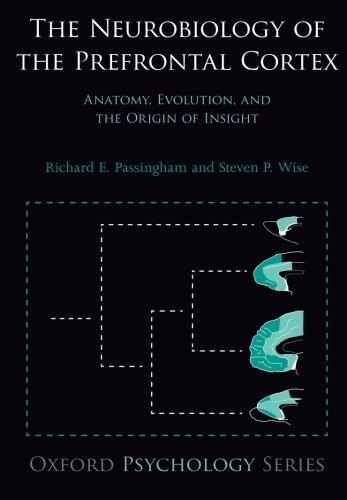 The Neurobiology of the Prefrontal Cortex: Anatomy, Evolution, and the Origin of Insight (Oxford Psychology Series)