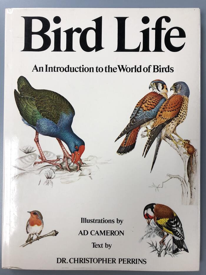 Bird Life: An Introduction to the World of Birds