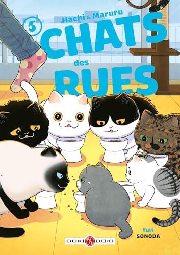 Hachi & Maruru - Chats des rues