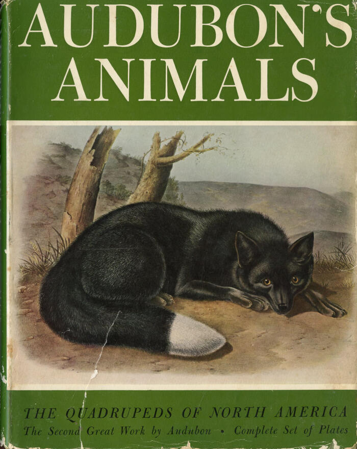 Audubon's Animals: The Quadrupeds of North America