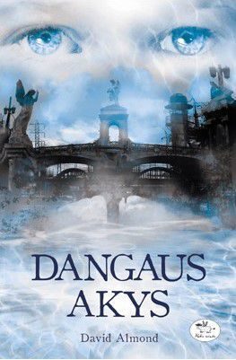Dangaus akys