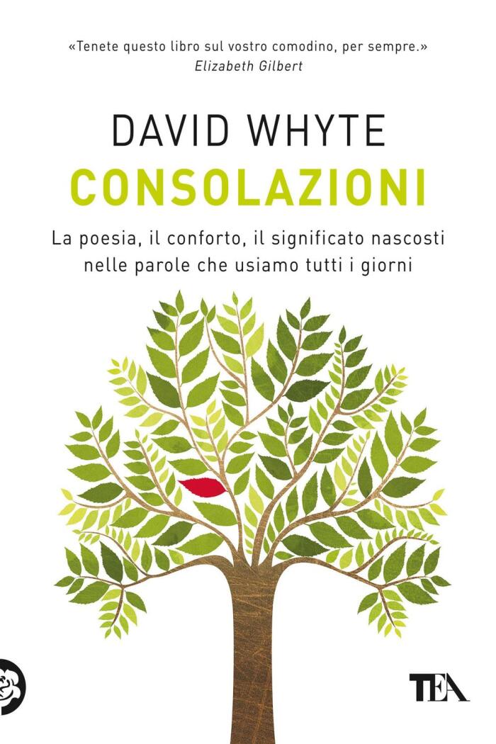 Consolazioni: La Poesia, Il Conforto, Il Significato Nascosti Nelle Parole Che Usiamo Tutti I Giorni