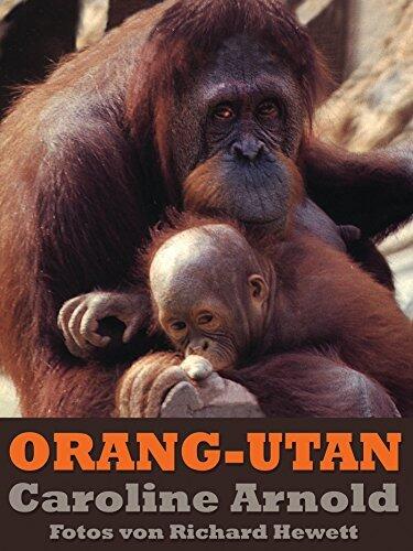 Orang-Utan