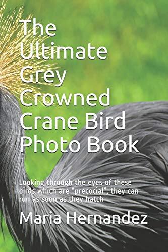 The Ultimate Grey Crowned Crane Bird Photo Book: Looking through the eyes of these birds which are “precocial”, they can run as soon as they hatch