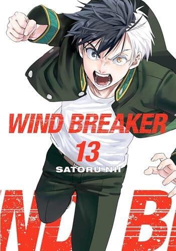 WIND BREAKER Vol. 13