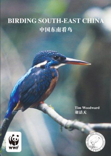 Birding South-east China