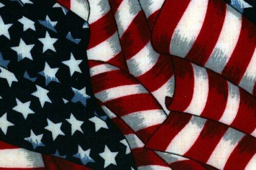 Recent Speeches of Senator John McCain
