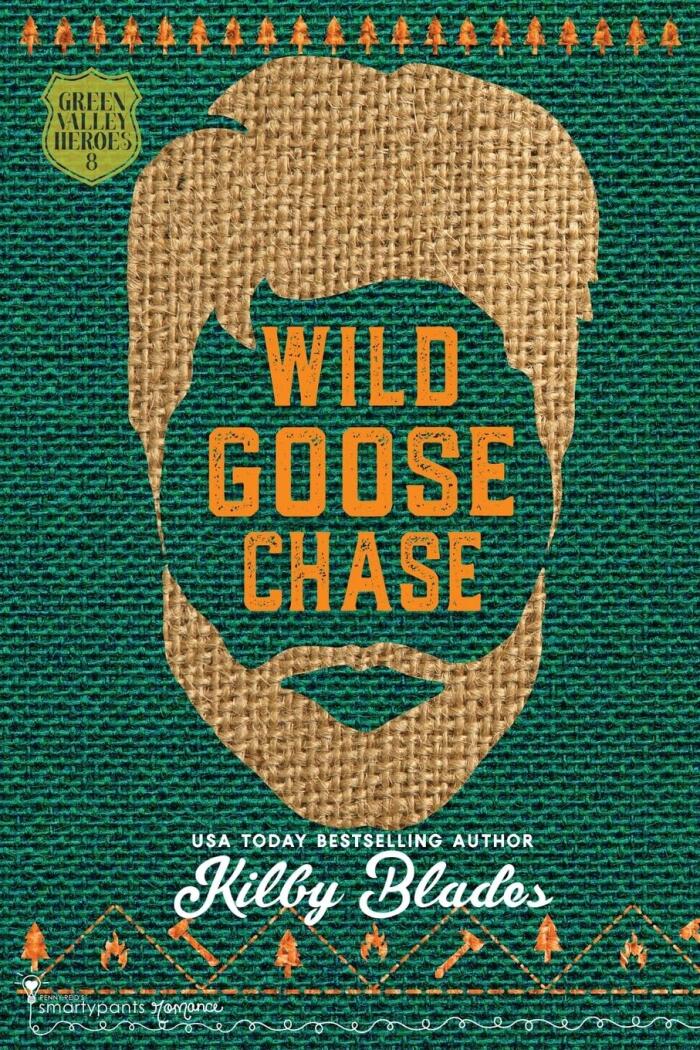 Wild Goose Chase: A Slow Burn Small Town Romance