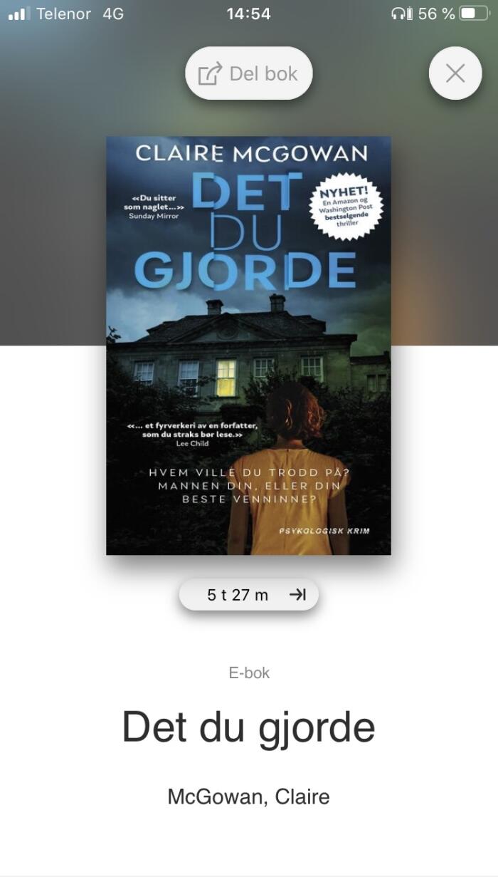 Det du gjorde