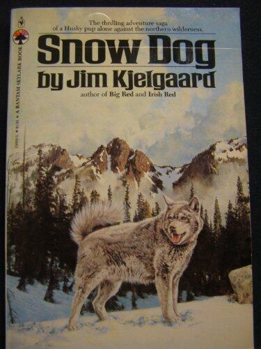 Snow dog