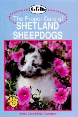 The Proper Care of Shetland Sheepdogs