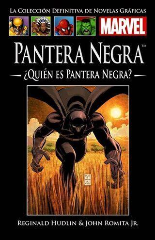 Pantera Negra: ¿Quién es Pantera Negra?