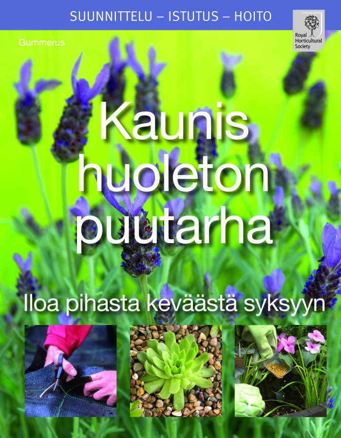 Kaunis huoleton puutarha