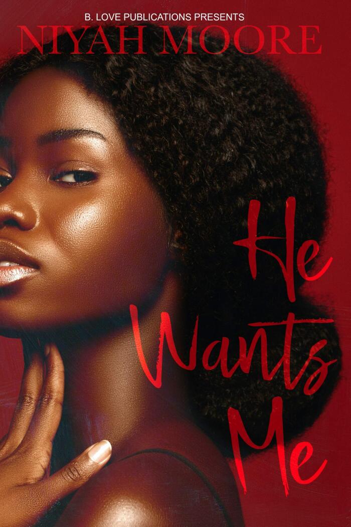 He Wants Me: A Novella