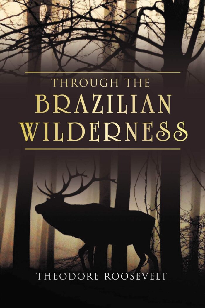 Through the Brazilian Wilderness