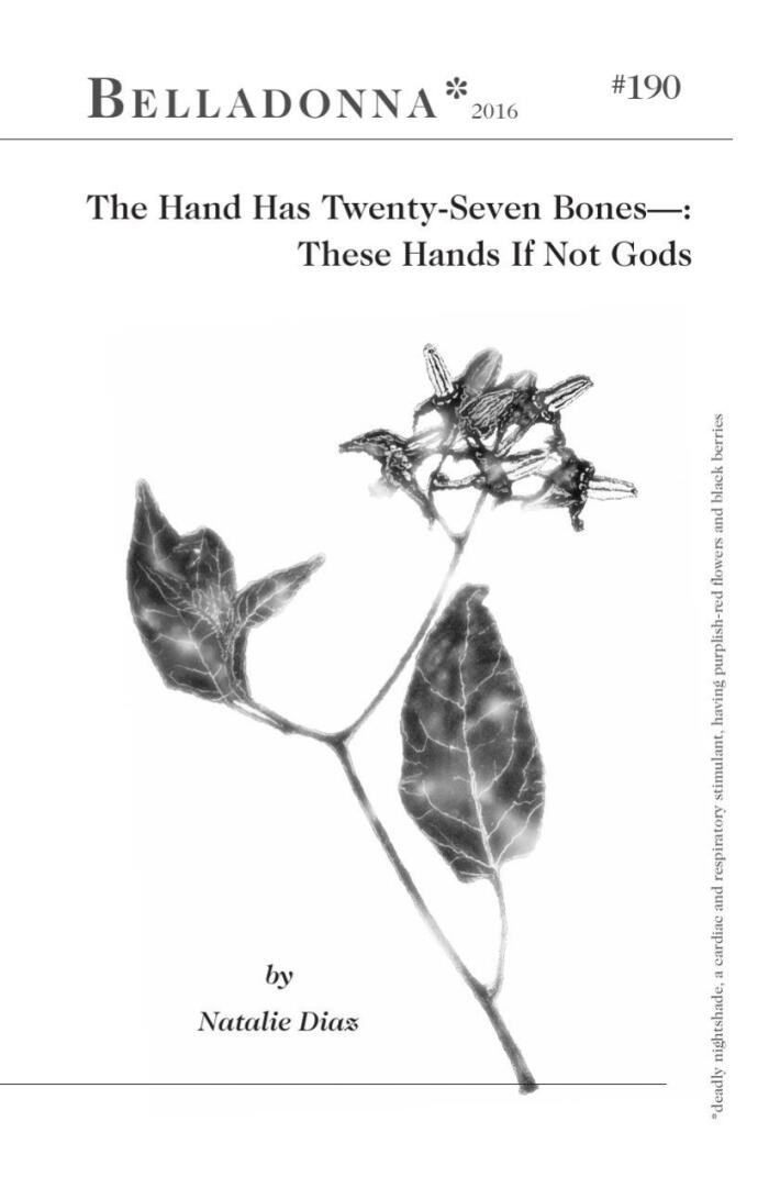 The Hand Has Twenty-Seven Bones—:  These Hands If Not Gods