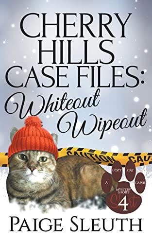 Cherry Hills Case Files: Whiteout Wipeout
