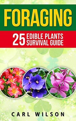 Foraging: All In One Foraging Guide With 25 WIld Edible Plants