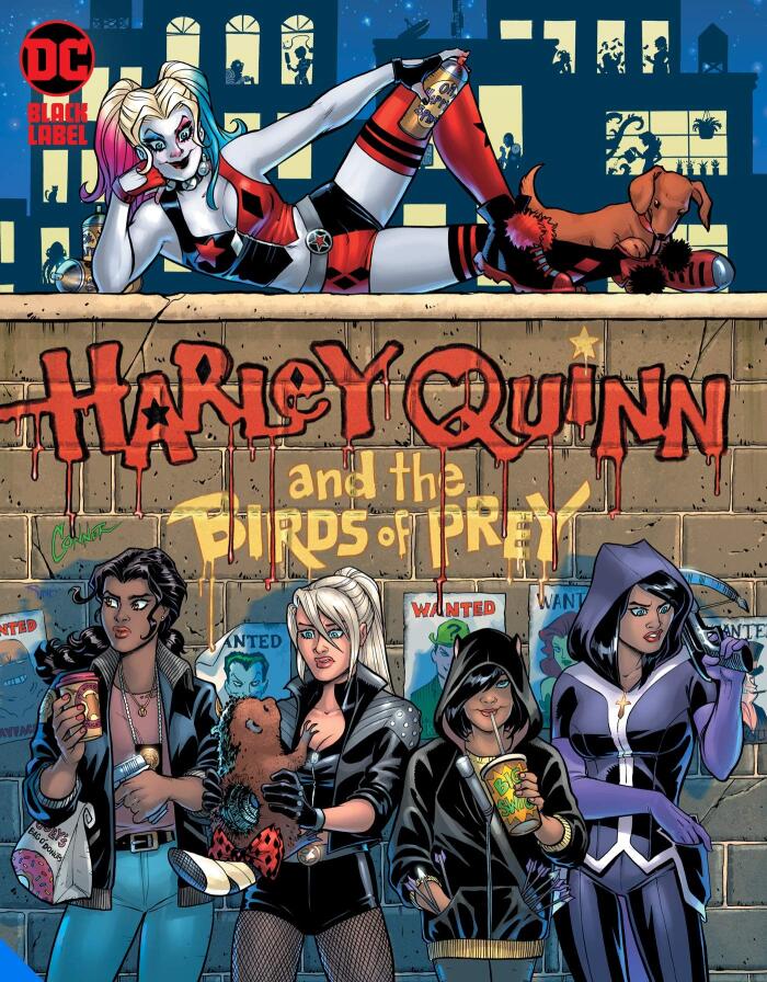 Harley Quinn and The Birds of Prey: The Hunt for Harley