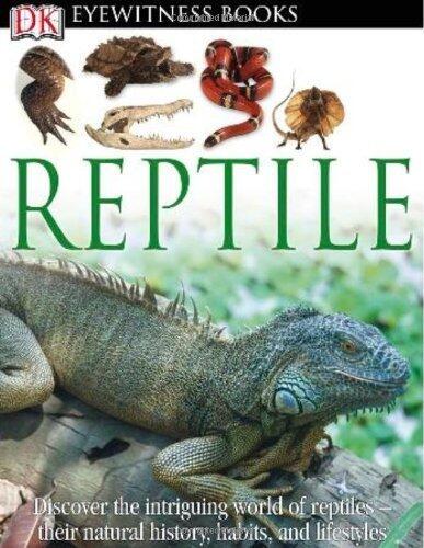 Reptiles