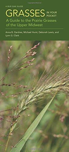 Grasses in Your Pocket: A Guide to the Prairie Grasses of the Upper Midwest