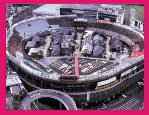 The Stadium: Architecture of Mass Sport