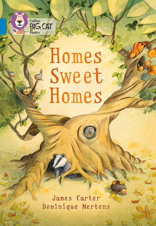 Collins Big Cat ― Homes Sweet Homes: Turquoise/Band 07