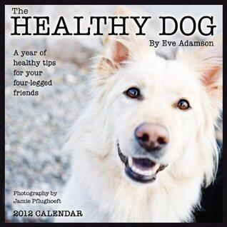 Healthy Dog: A Year of Healthy Tips for Your Four-Legged Friends 2012 Wall Calendar