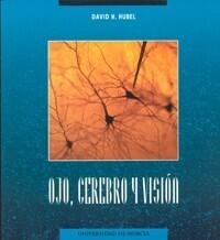 Ojo, cerebro y visión