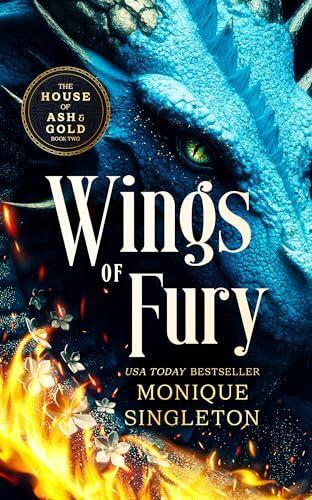 Wings of Fury: A Dark Dragon Rider Romantasy