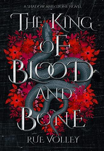 The King of Blood and Bone (Shadow and Stone Series Book 2)