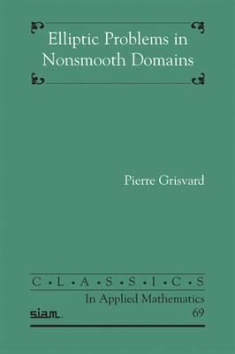 Elliptic Problems in Nonsmooth Domains