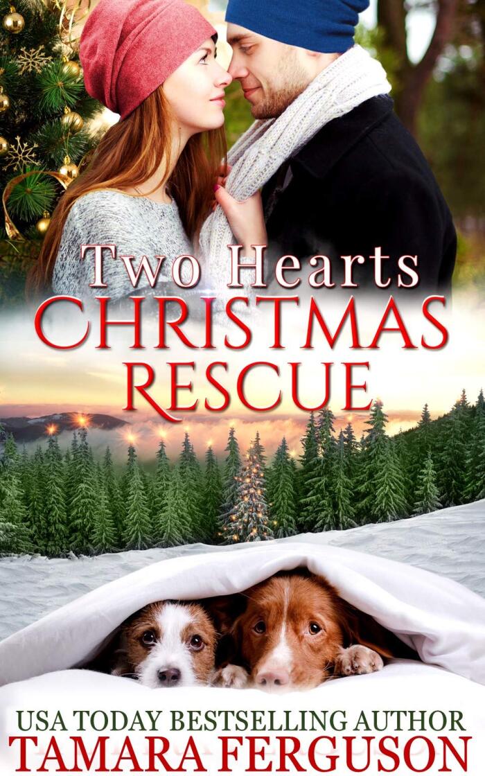 Two Hearts' Christmas Rescue