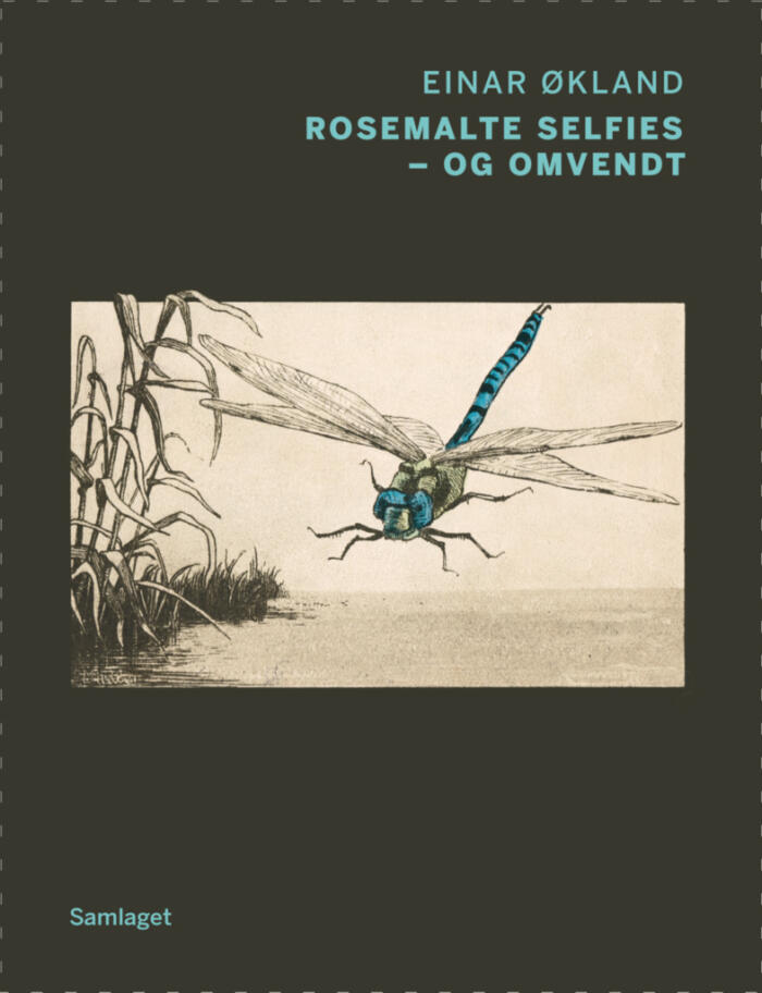 Rosemalte selfies - og omvendt