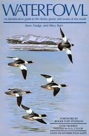 Waterfowl: An Identification Guide to the Ducks, Geese and Swans of the World