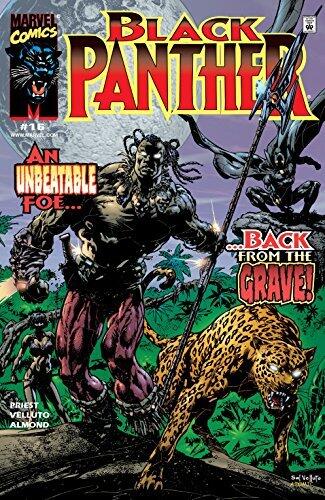 Black Panther #16