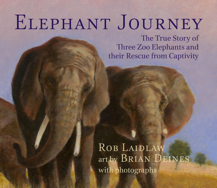 Elephant Journey: The True Story of Three Zoo Elephants and their Rescue from Captivity