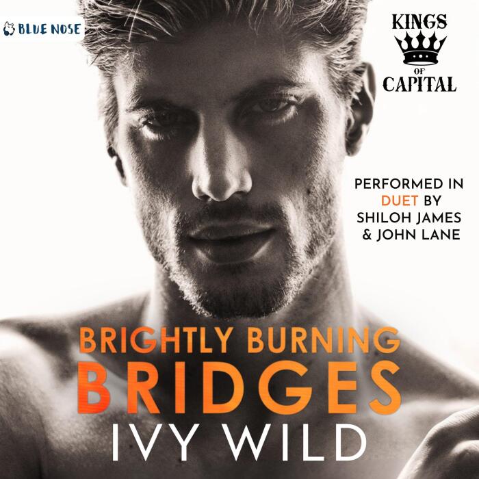 Brightly Burning Bridges: A Bully Romance