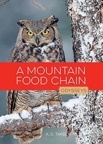 A Mountain Food Chain