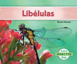 Libélulas / Dragonflies