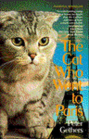 Norton the Cat