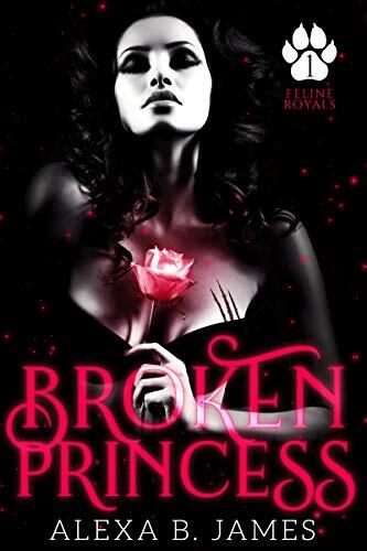 Broken Princess