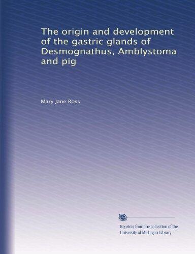 The origin and development of the gastric glands of Desmognathus, Amblystoma and pig