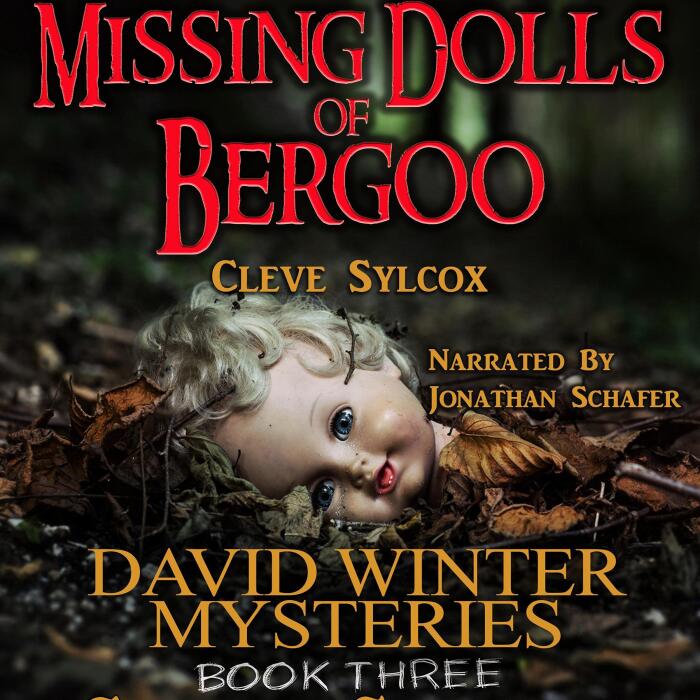 Missing Dolls of Bergoo: David Winter Mysteries, Book Three