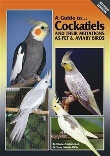 A Guide to Cockatiels and Their Mutations as Pet & Aviary Birds