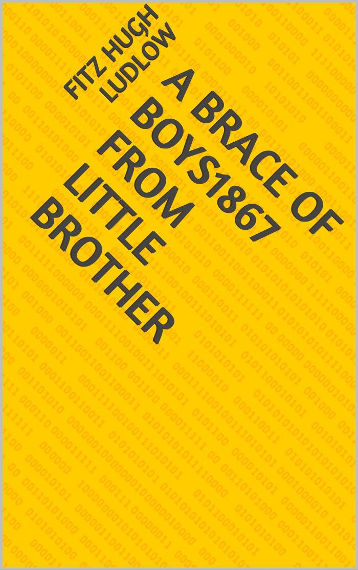A Brace Of Boys1867 From Little Brother