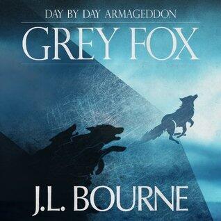 Grey Fox